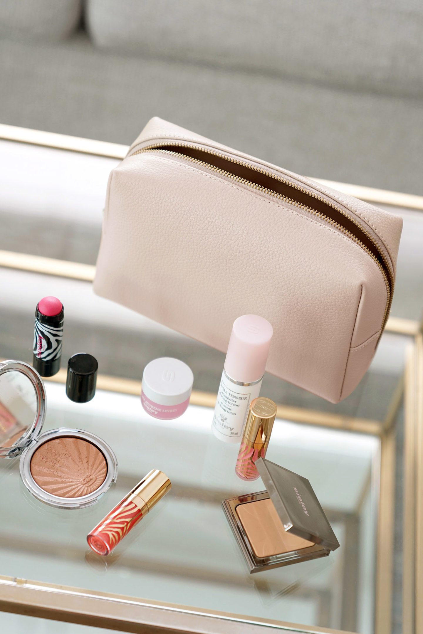 Cuyana Vanity Case Blush | The Beauty Look Book