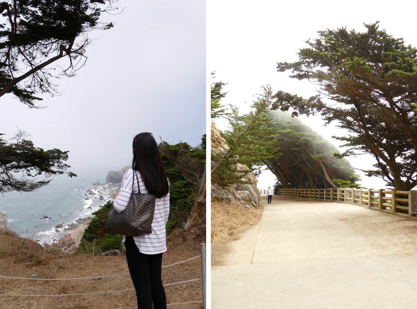 Land's End San Francisco